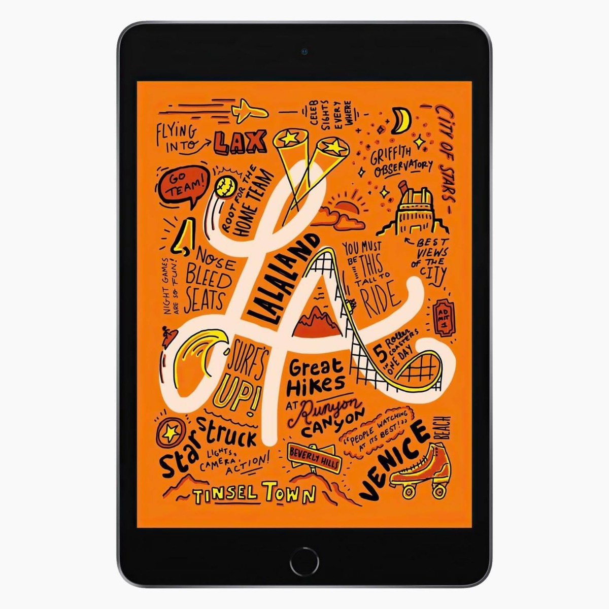 iPad Mini 5 256 GB