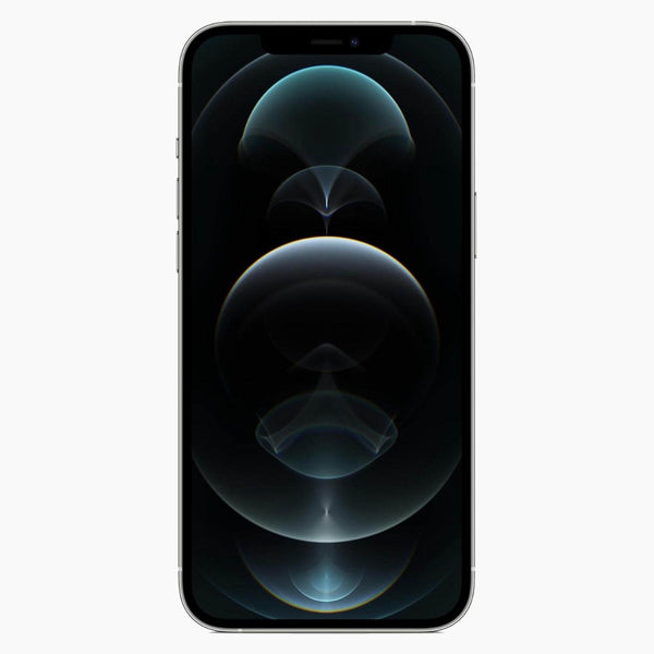 iPhone 12 Pro Max reacondicionado 128 GB plata - parte frontal